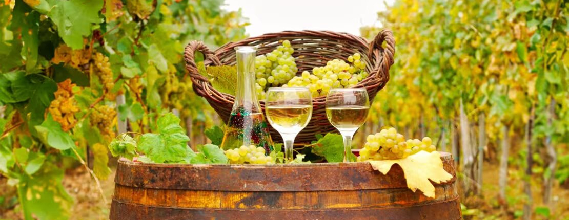 Fiesta del vino blanco